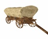 COVERED WAGON 3