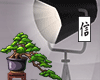 ﻼ  Modern Lamp