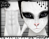 S; Kitti Fur M
