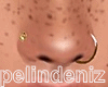 [P] Gold nose piercings