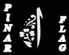 PiNAR FLAG/TURK
