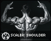 Perfect Shoulder