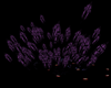 purple blast 1