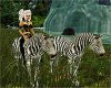 Kat and Zebras