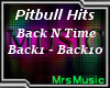 Pitbull - Back N Time