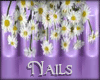 Just Daisies Lilac