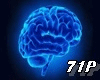 brain