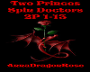 Two Princes-Spin Doctors
