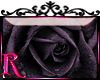 *R* Dark Rose Sticker