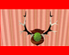 Elk Antlers 1