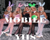 YIIS | Bunny Girls CTT