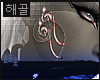 해골 Magnetic