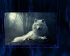 Blue Wolf Slider 9 pics