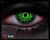 ✘Revitalice v5