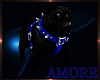 Amore Pug Blue Harness