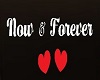MY Now & Forever Quote