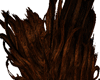 Tree root  hair 