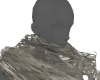scar