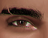F BROWS ALPHA l