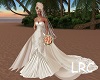 Princess Bride Dress