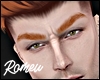 Jan Ginger Eyebrows MH