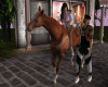 Walk With HORSE kiss