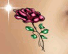 [NUR]Pink Belly Rose 