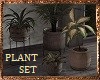☙ Plant Set