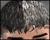s. Hair Fade Job