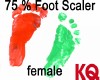 KQ 75 % Foot Scaler fem