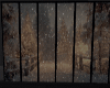 winter snow window