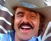 The Bandit 1