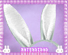 M. Bunbun Ears F