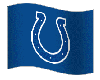 Colts Flag