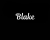 Blake Necklace/M