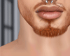 perfect neck