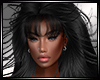 *MM* Delphia black