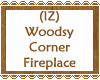 Woodsy Corner Fireplace