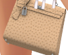 Used Grace Ostrich Bag