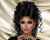 TXXL Black Bundles