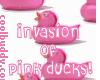 Pink ducks