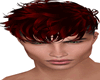 Req Blood Hair