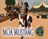 MOA Mustang