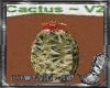 Cactus~V2