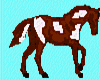 Paint Horse Animated