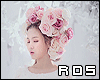 (C) Roses S+D