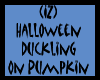 Duckling On Pumpkin