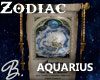 *B* Zodiac Aquarius