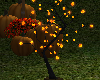 Lit Autumn Tree