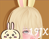 Usagi Hair